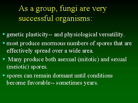 As A Group Fungi Are Very Successful Organisms