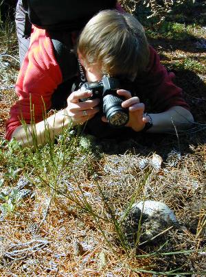 Annette taking a picture of matsutake