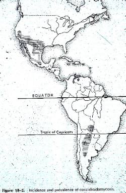 Coccidioides distribution