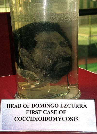 Domingo Escurra