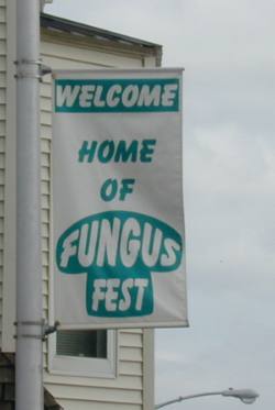 Fungus Fest sign in Crystal Falls, Michigan