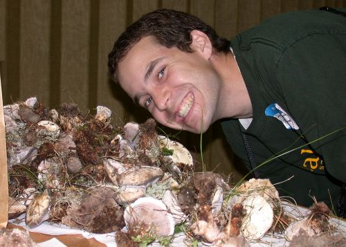 Sean Westmoreland with masses of Hydnellum caeruleum in Michigan.  photo by Nik Zitomer